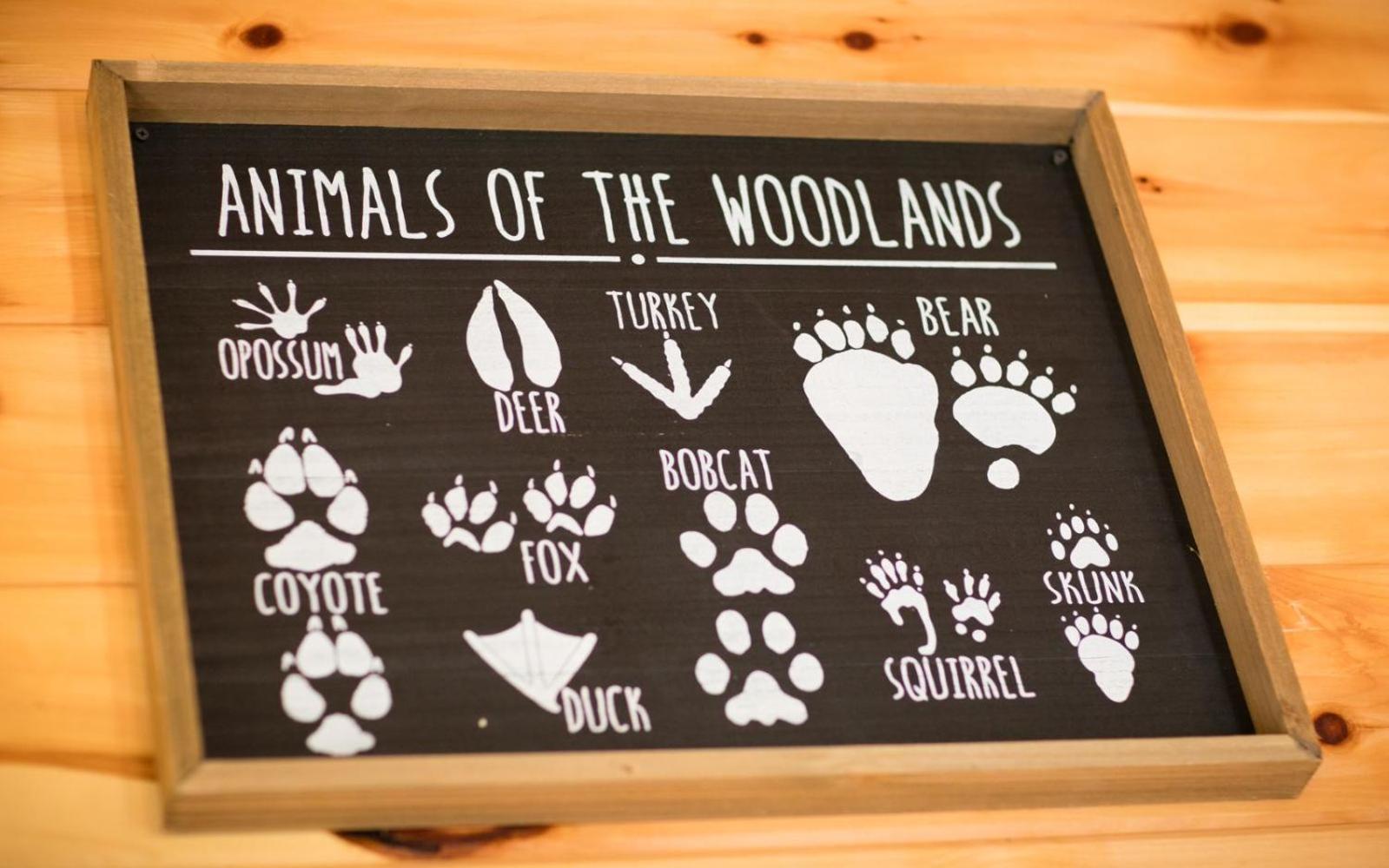Willa Lifes A Bear Gatlinburg Zewnętrze zdjęcie