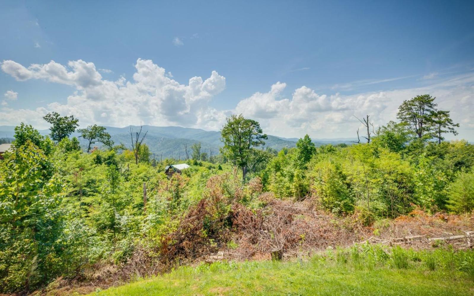 Willa Lifes A Bear Gatlinburg Zewnętrze zdjęcie